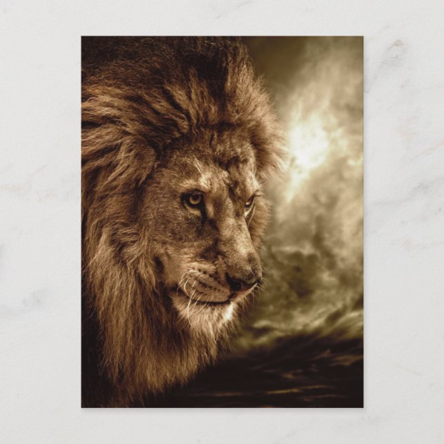 Carte Postale Lion contre ciel orageux (Devant)