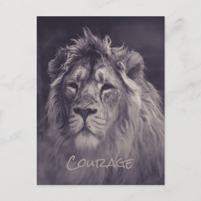 Carte Postale Lion Courage Roi de la Jungle (Devant)