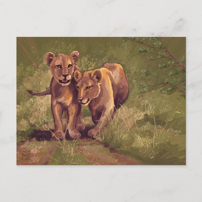 Carte Postale Lion Cubs (Devant)