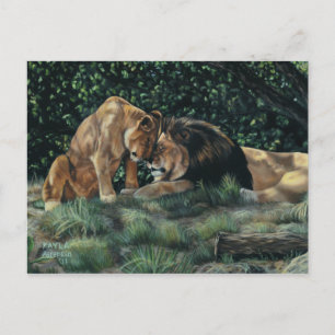 Carte postale Lion Cudle
