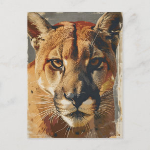 Carte Postale Lion de Cougar Mountain vintage