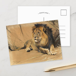 Carte Postale Lion de repos   Wilhelm Kuhnert