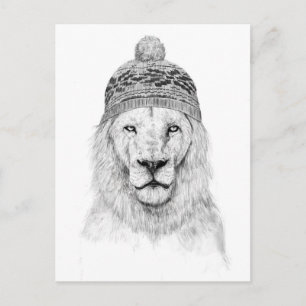 Carte Postale Lion d'hiver (bw)
