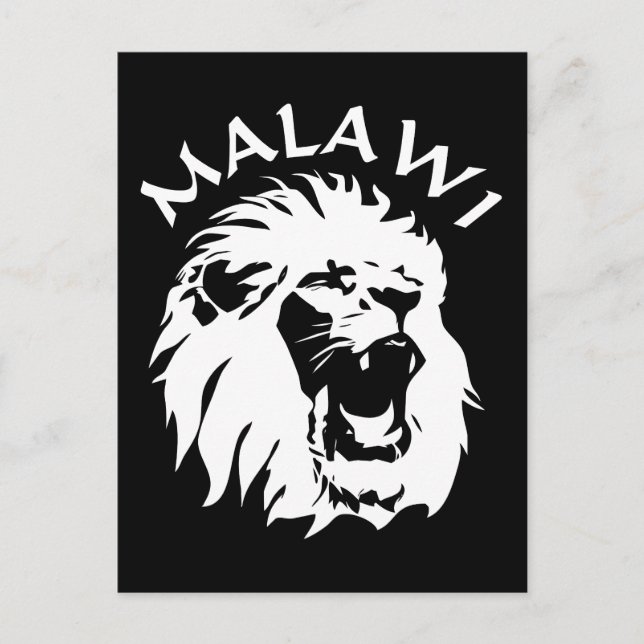 Carte Postale Lion du Malawi (Devant)
