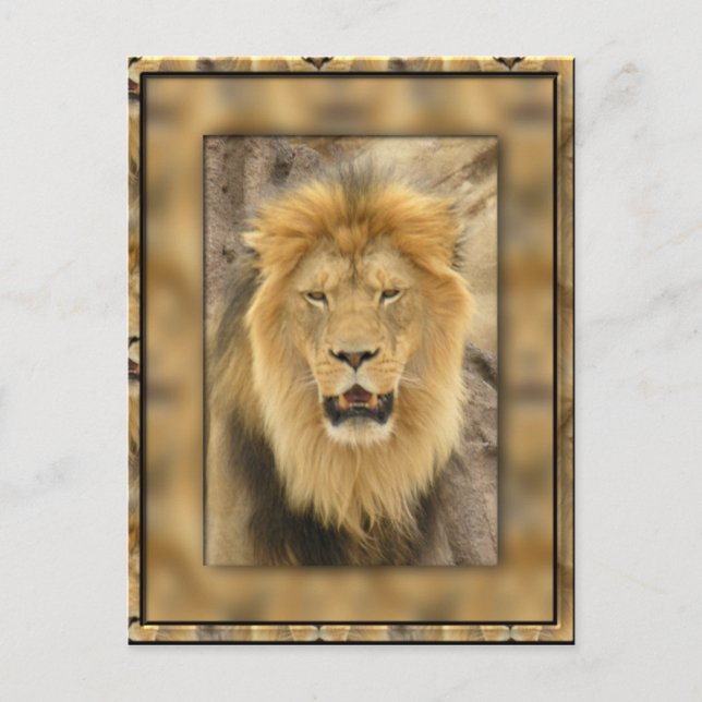 Carte Postale Lion encadré (Devant)
