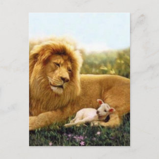 Carte Postale Lion et agneau