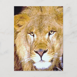 Carte Postale Lion Eyes