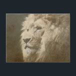Carte Postale Lion Head The King Modern Pop Art Modèle<br><div class="desc">Lion Head The King Modern Pop Art Modèle Carte Postale Animale tendance.</div>