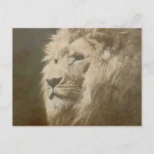 Carte Postale Lion Head The King Modern Pop Art Modèle