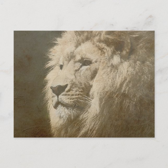 Carte Postale Lion Head The King Modern Pop Art Modèle (Devant)