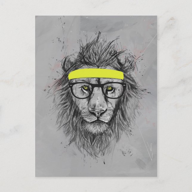 Carte Postale lion huppé (Devant)