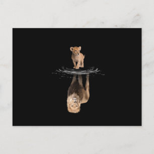 Carte Postale Lion Life Lion Love King Lion