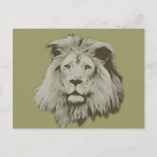 Carte Postale Lion mâle