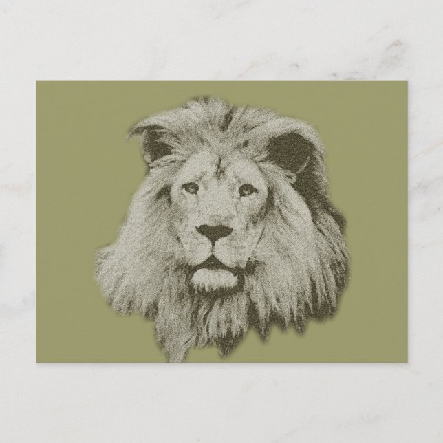 Carte Postale Lion mâle (Devant)