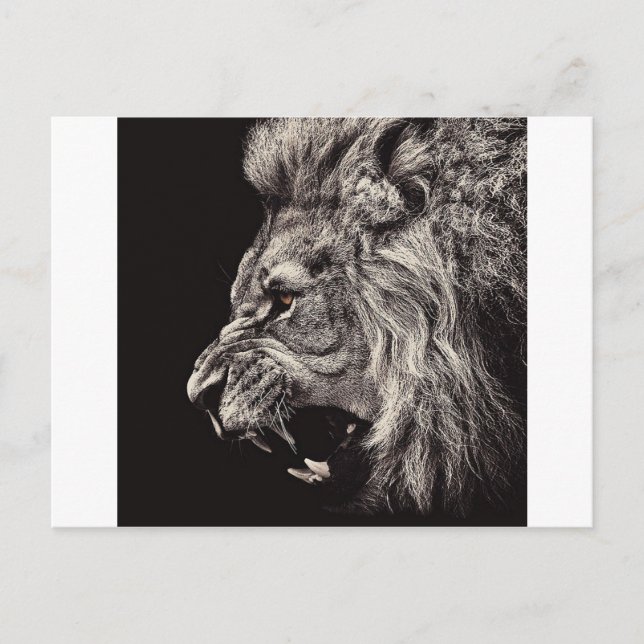 Carte Postale Lion mâle en colère (Devant)