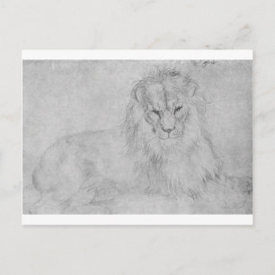 Carte Postale Lion par Albrecht Durer