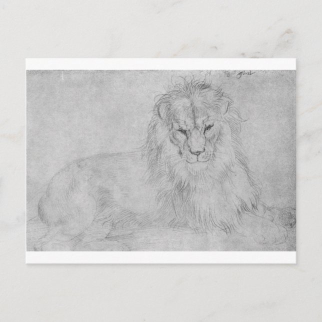 Carte Postale Lion par Albrecht Durer (Devant)