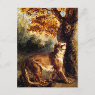 Carte Postale Lioness L'Embrasse