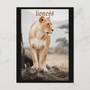 carte postale lionne