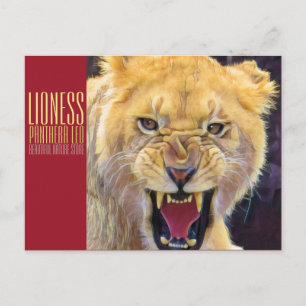 Carte Postale Lionne [Carte postale]