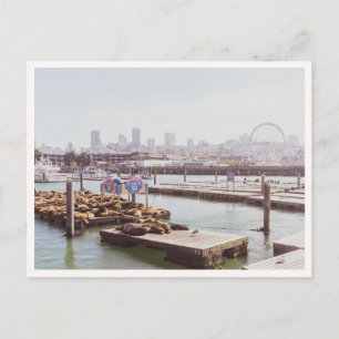 Carte Postale Lions de mer et grande roue de Pier 39 San Francis