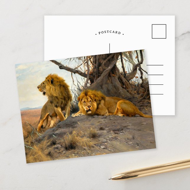 Carte Postale Lions rugissant | Wilhelm Kuhnert (Créateur téléchargé)
