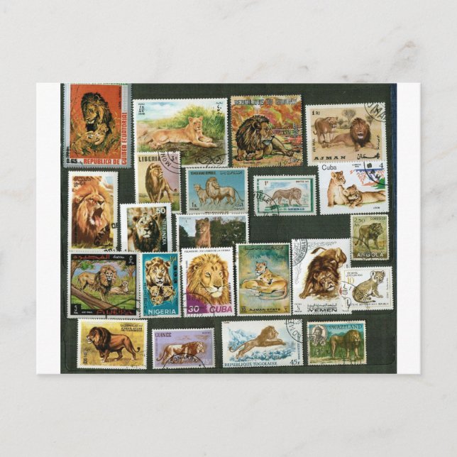 Carte Postale Lions sur timbres (Devant)