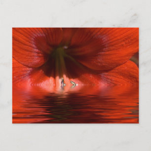 Carte Postale Liquide Rouge