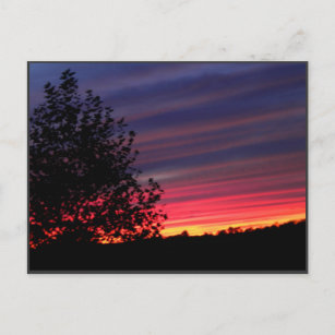 Carte Postale Lisa's Sunset
