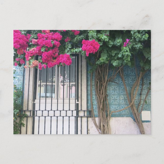 Carte Postale Lisbonne Carreaux & Fleurs Bouganvillea (Devant)