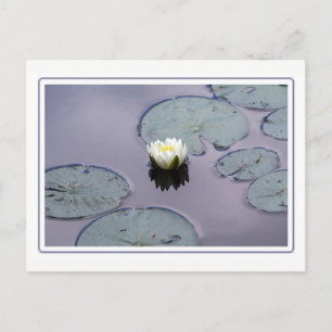 Carte Postale Lit d'eau Moody avec bordure