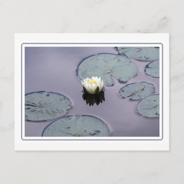 Carte Postale Lit d'eau Moody avec bordure (Devant)