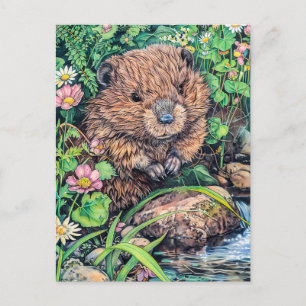 Carte Postale Little Beaver par Creek Bank