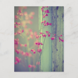 Carte Postale Little Bells