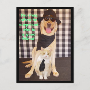 Carte Postale Little Buddy