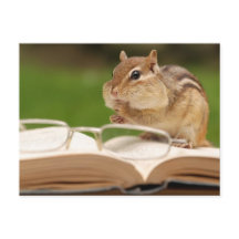 Carte postale Little Chipmunk Reading