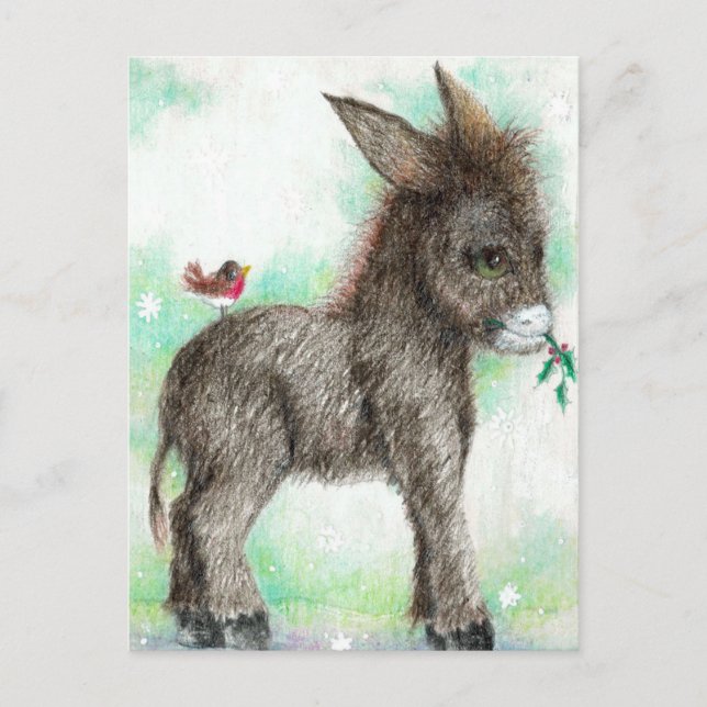 Carte Postale Little Donkey et ami ornithologique Robin (Devant)