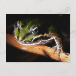 Carte postale Little Frog