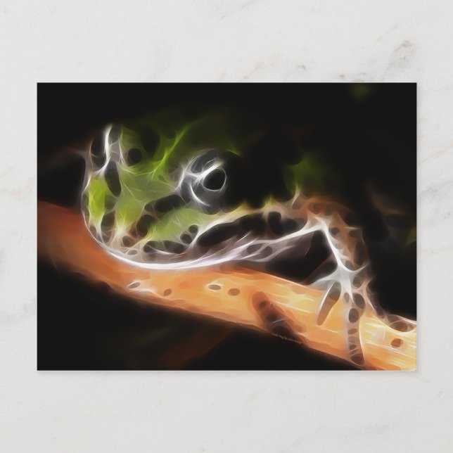 Carte postale Little Frog (Devant)
