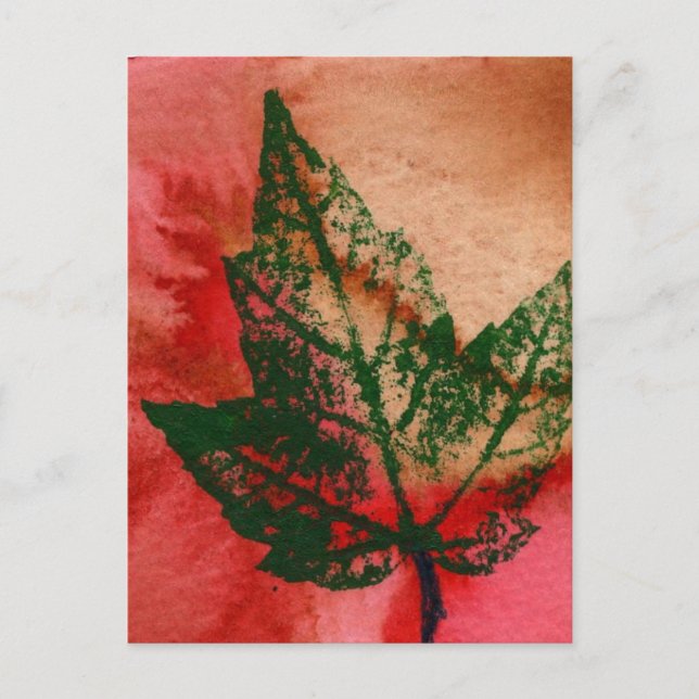 Carte postale "Little Maple" (Devant)