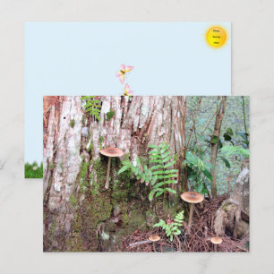 Carte postale Little Musrooms