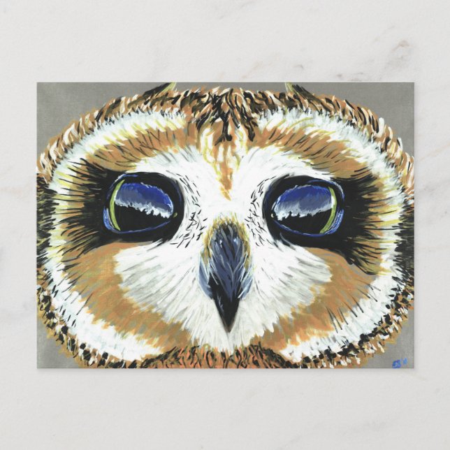 Carte postale Little Owl Eyes (Devant)