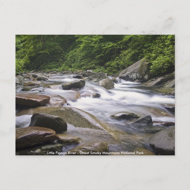 Carte Postale - Little Pigeon River, Great Smoky M (Devant)