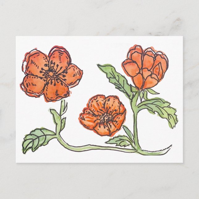 Carte postale Little Poppy (Devant)