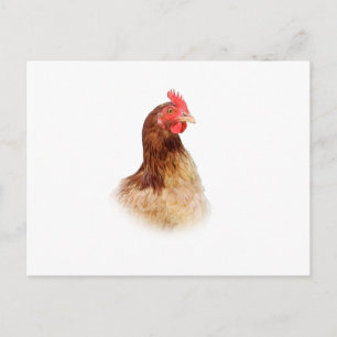 Carte postale Little Red Hen