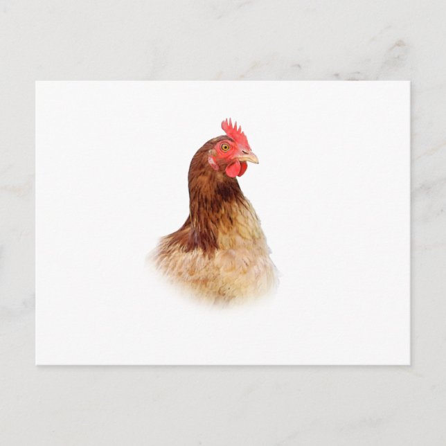 Carte postale Little Red Hen (Devant)