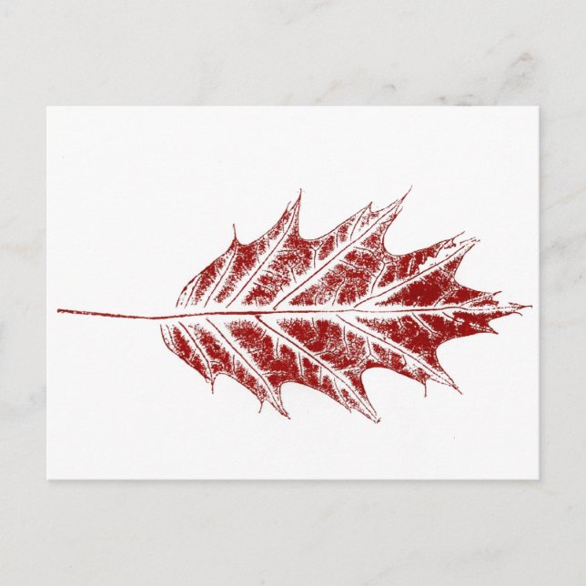 Carte postale "Little Red Oak" Country Road (Devant)