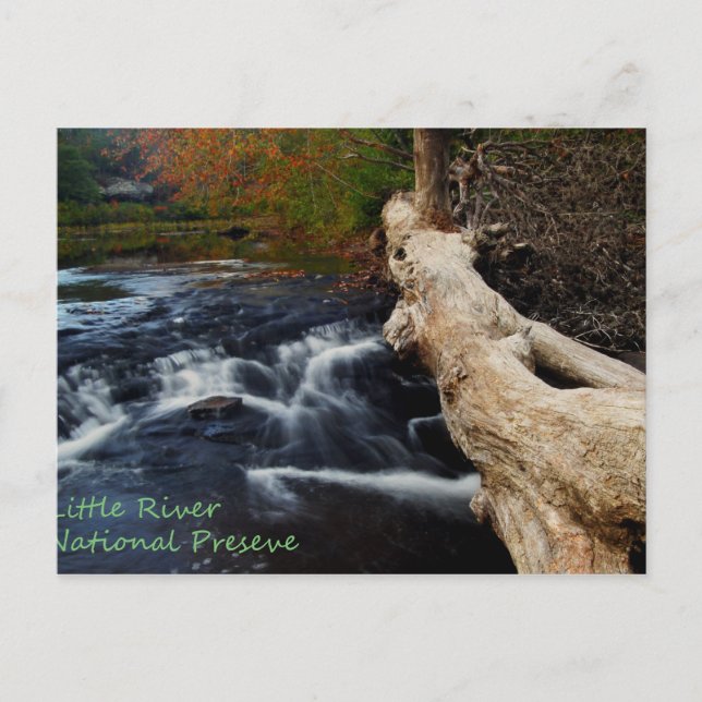 Carte Postale Little River (Devant)