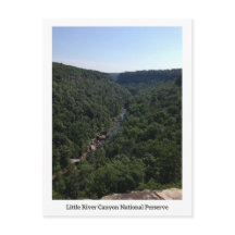 Carte postale Little River Canyon 1