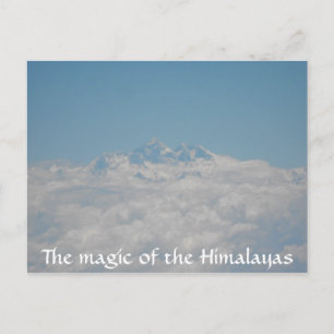 Carte postale Little Seeds 4